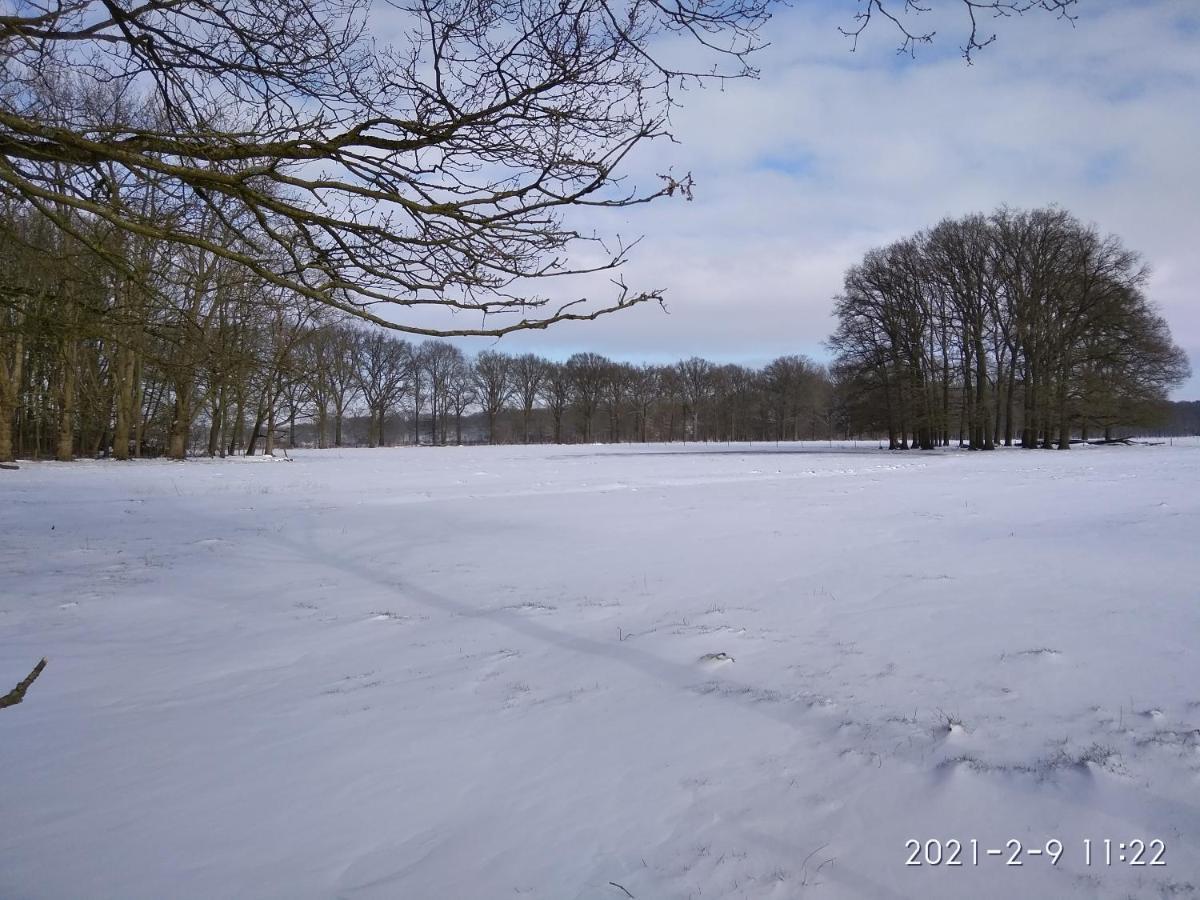 Holiday Home Harmony Brecht エクステリア 写真
